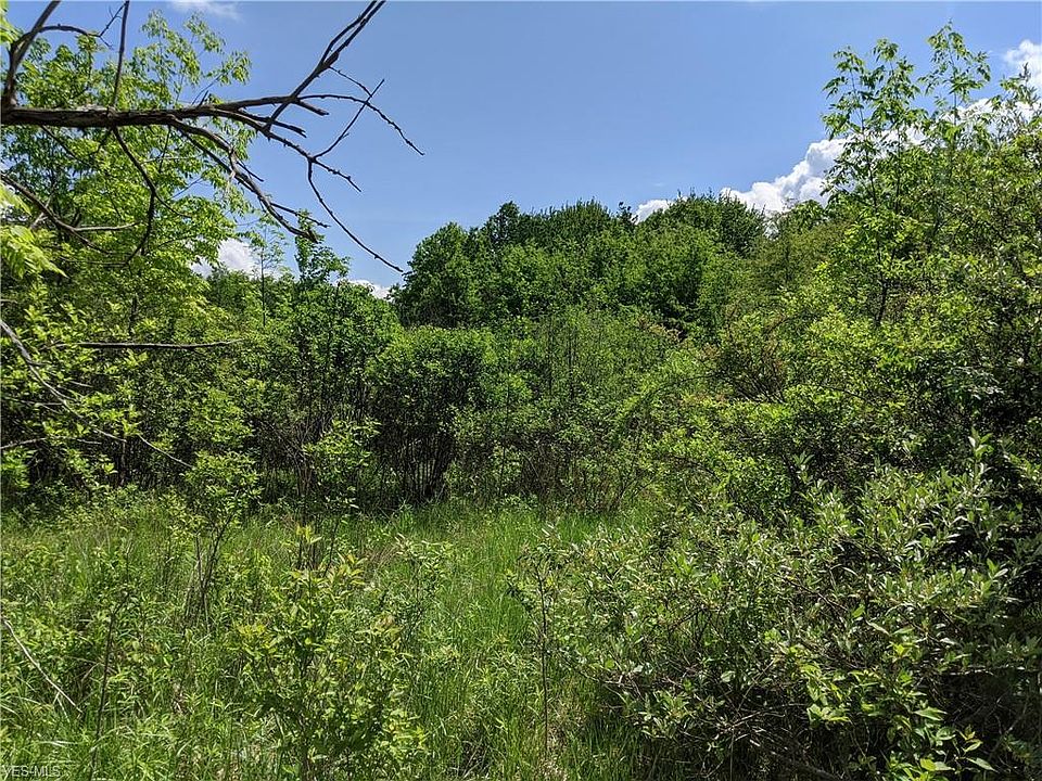 2nd image of 1218 Ridge Rd