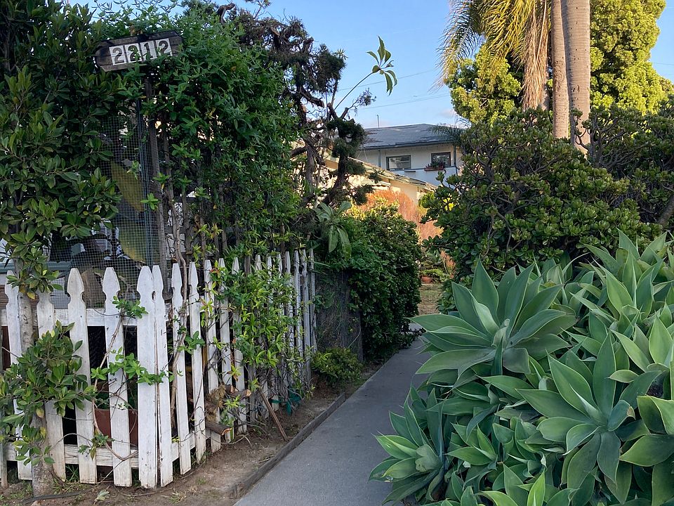 View south from Ocean Park Blvd. Apt. E is visible through the greenery.