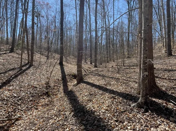 618 Beaver Creek Ln, Schuyler, VA 22969