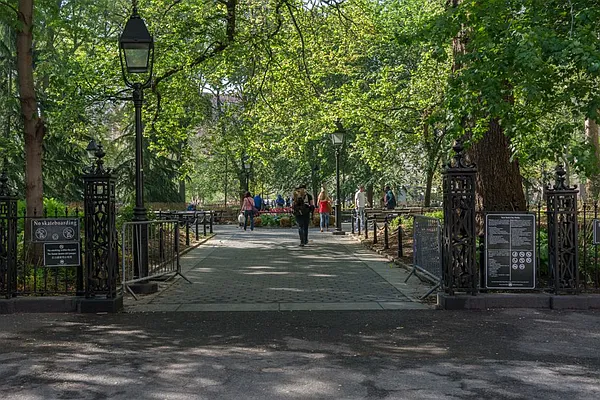 Rented by Sky Management | media 67