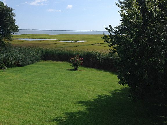 Back Yard View