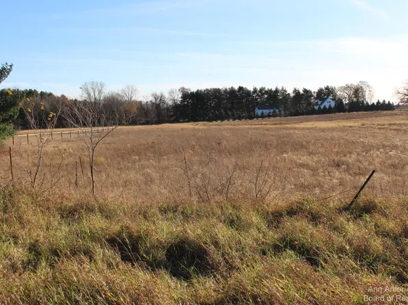 0 Curtis Rd, Grass Lake, MI 49240