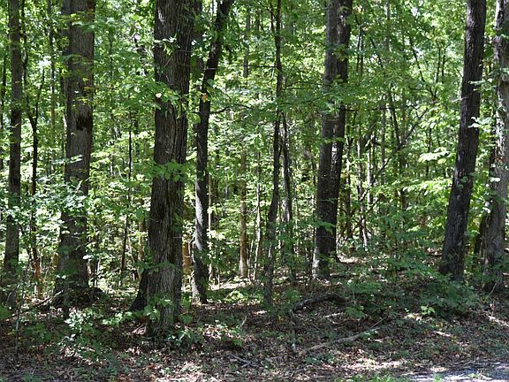 3rd image of 0 Lower Firetower Rd