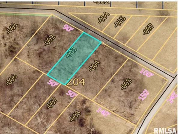 Dewey St, Murphysboro, IL 62966