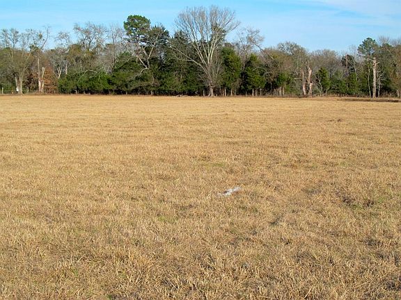 2nd image of 2172 County Road 4778