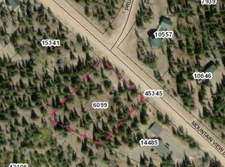 1444 Mountain View Dr, Fairplay, CO 80440