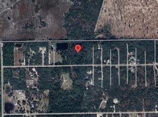 138 Pine Tree Drive, Palatka, FL 32177