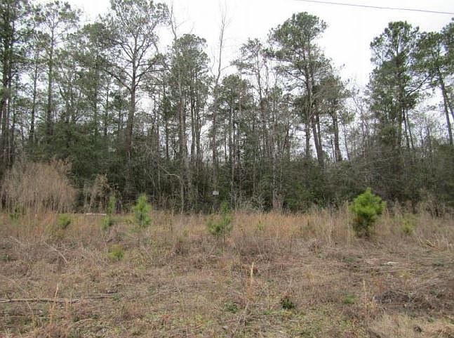 2nd image of 459 Possum Ridge Rd