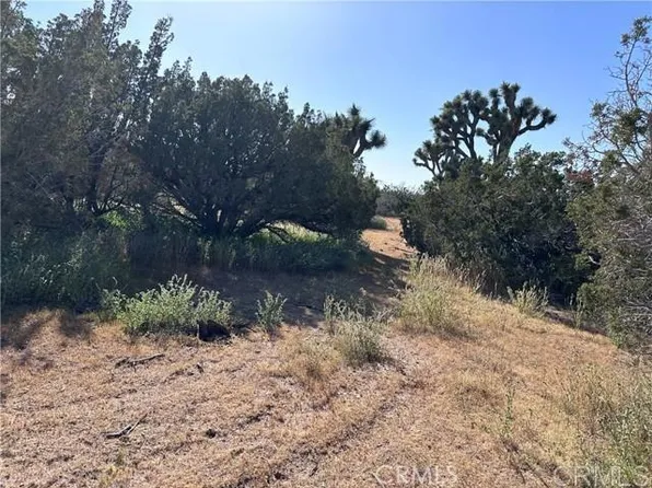 Daisy Rd, Oak Hills, CA 92344