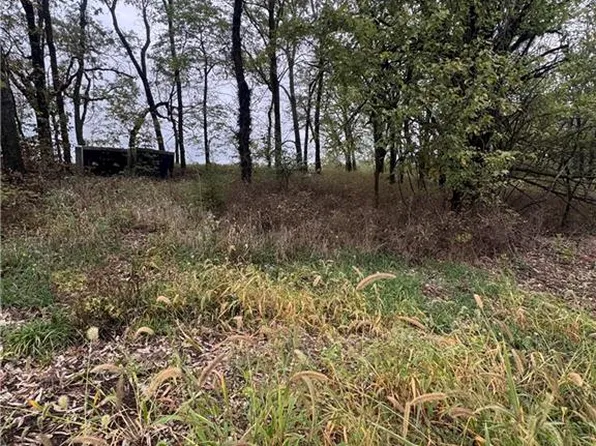 49 Lou Ann Dr, La Cygne, KS 66040