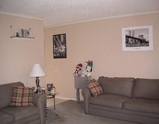 3rd image of 15411 KNOLL MEADOW
