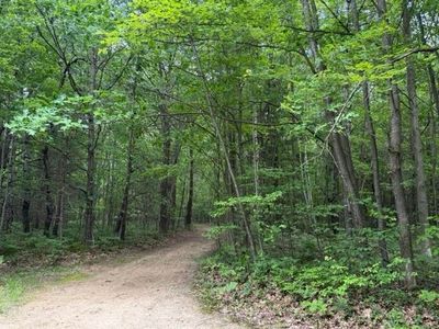 2854 N Lakeshore St, Gladwin, MI, 48624