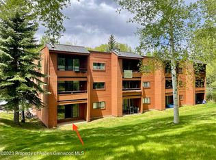 1318 Vine St #1318, Aspen, CO 81611