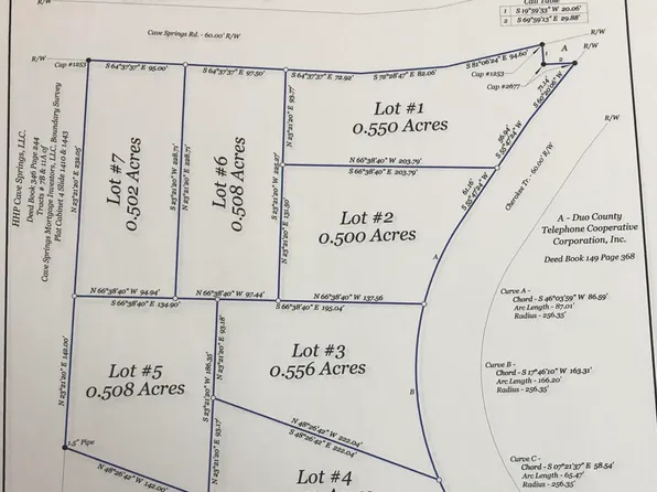 56 Cherokee Trl, Nancy, KY 42544