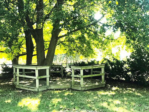 Deck under the shade tree!