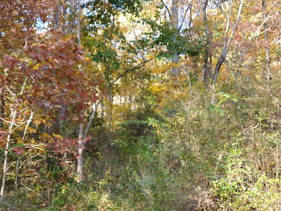 4047 Packs Branch Rd, Mount Hope, WV 25880 MLS 83166 Zillow