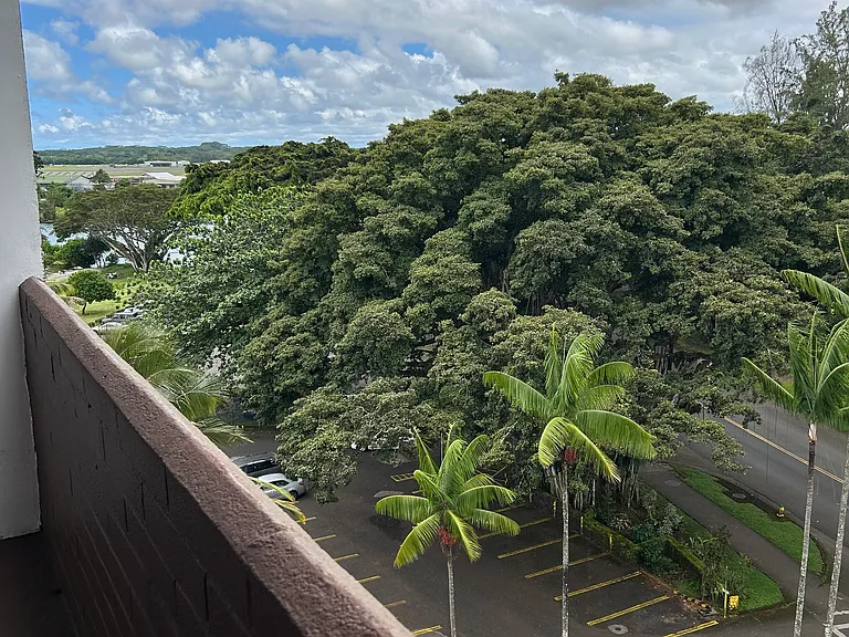 Lehua St — Photo 15