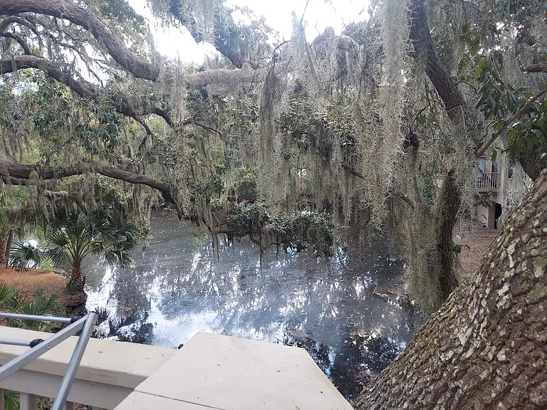 Night Heron Ln — Photo 5