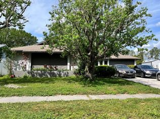 15904 Bridgewater Ln, Tampa, FL 33624