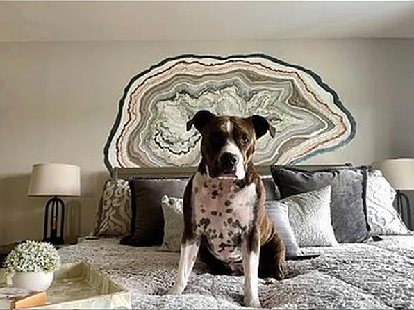 4800 Eagleview Dr #127C, Osage Beach, MO 65065