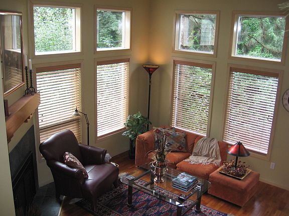 view to the trees