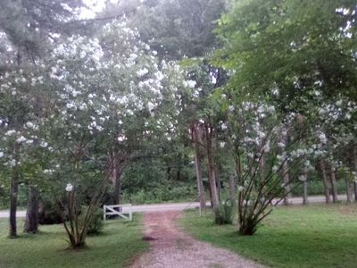 7980 Pleasant Ridge Rd, Arlington, TN, 38002