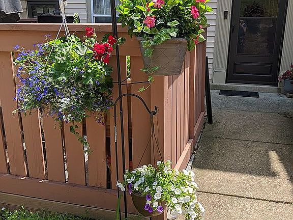 Hanging Garden/Entry Walk