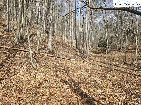 TBD (Lots 42 & 43) Happy Ridge Road, Piney Creek, NC 28663