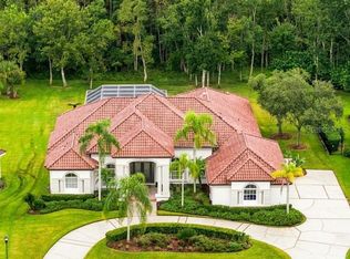 4626 Rue Bordeaux, Lutz, FL 33558