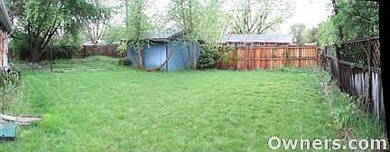 View of backyard