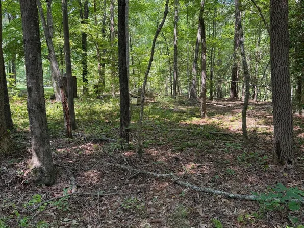 153 Omaha Drive, Louisburg, NC 27549