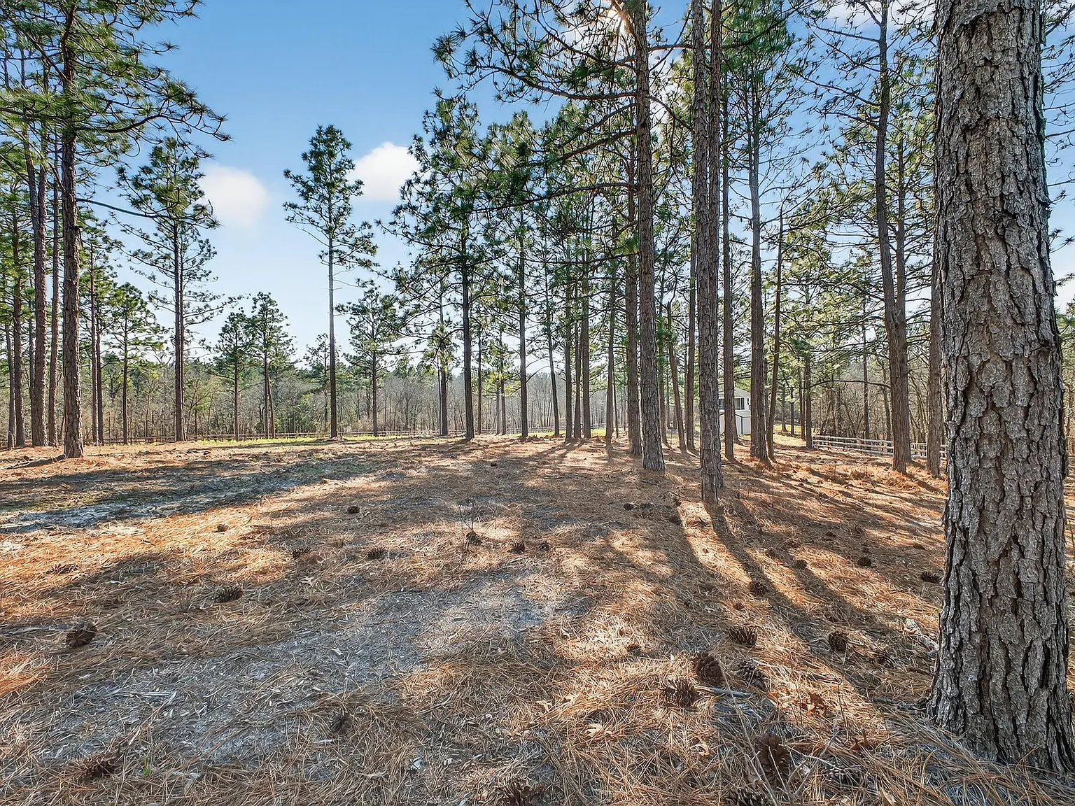 1 bed, 1.0 bath, 670 sqft, $2,500 — Photo 3