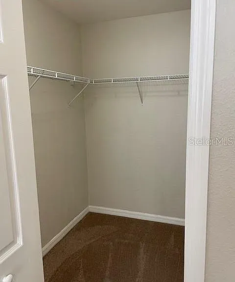 3809 Black Spruce Ln — Photo 12