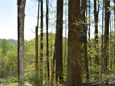 Cabin Flats Rd, Balsam, NC, 28707
