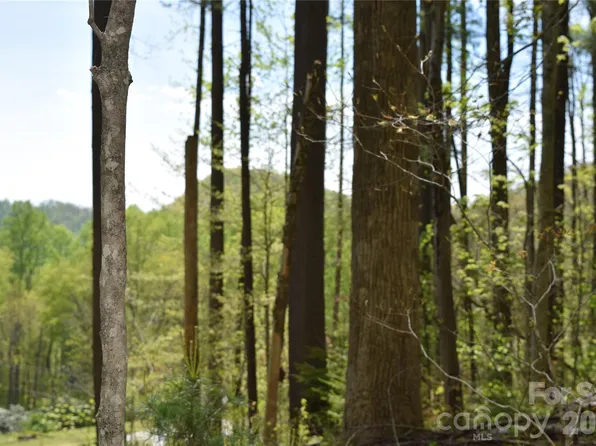 Cabin Flats Rd, Balsam, NC 28707