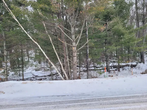 LOT 1 N Bass Lake Rd, Eagle River, WI 54521