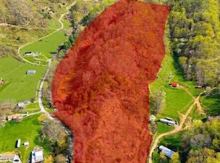 0 Wilson Cove Rd, Canton, NC 28716