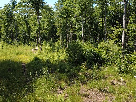 4th image of 00 Foxtrot Road #20