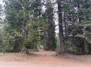 3-D-1 Fumarole Dr, McCloud, CA