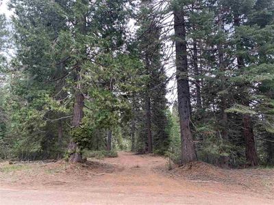 3-D-1 Fumarole Dr, McCloud, CA, 96057