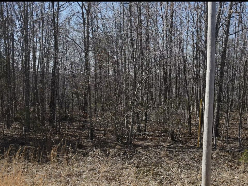 1st image of 0 Mockingbird Ln Lot 286