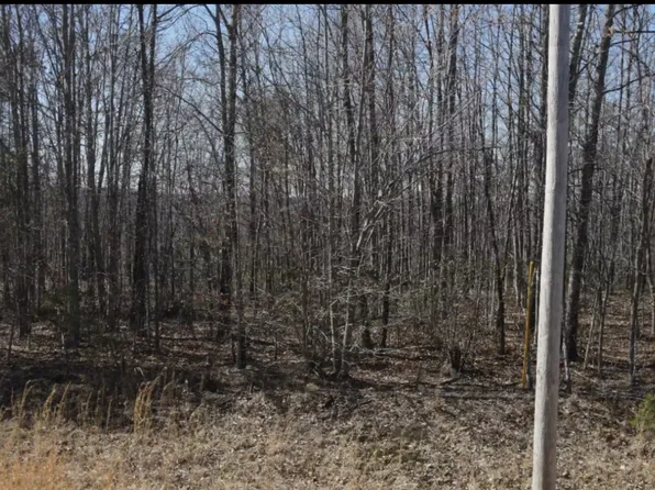 0 Mockingbird Ln Lot 286, Wilder, TN 38589