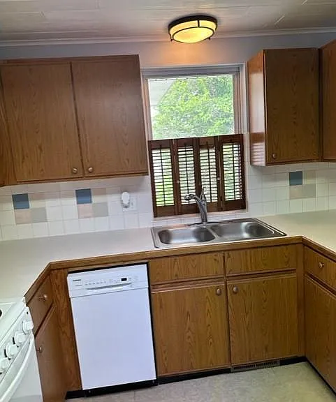 Kitchen Dishwasher and Cabinets