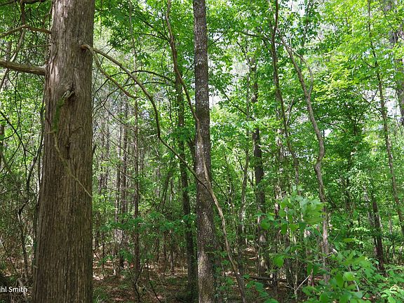 3rd image of 0 Willard Taylor Rd