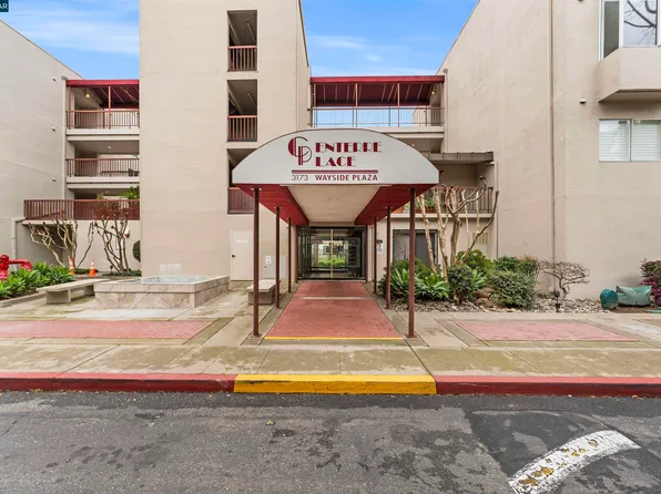 3173 Wayside Plz APT 204, Walnut Creek, CA 94597