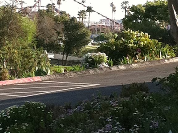 4th image of 97 S Branciforte Ave