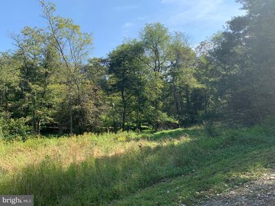 Sheepskin Hollow Rd, Mc Connellsburg, PA, 17233