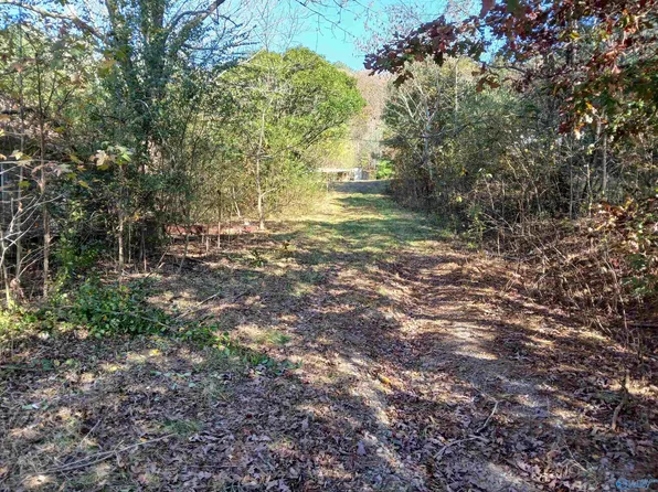 874 Double S Mountain Rd, Baileyton, AL 35019