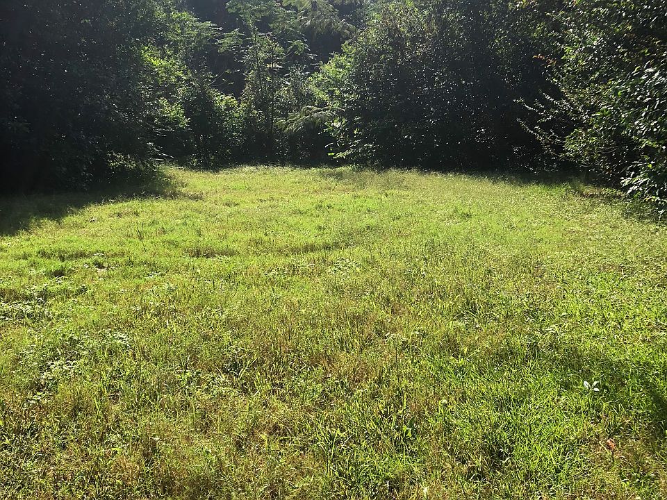 2nd image of 2213 Cushman Dr