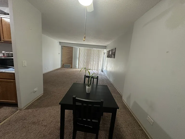 Dining and living room